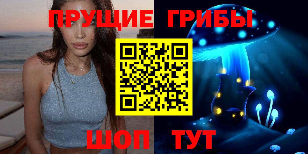 Псилоцибиновые грибы мицелий  купить наркотик  Верхняя Пышма  Вход с VPN 